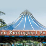 Nehru Zoological Park: A Wildlife Haven in the Heart of Hyderabad