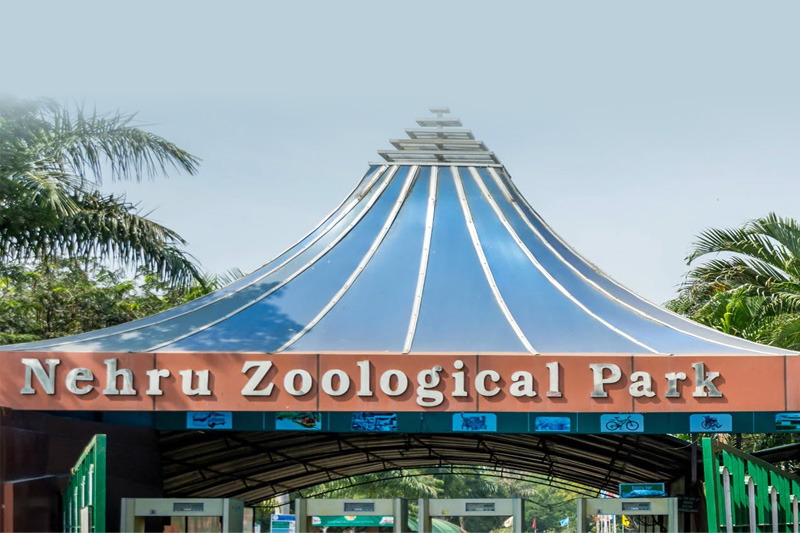 Nehru Zoological Park: A Wildlife Haven in the Heart of Hyderabad